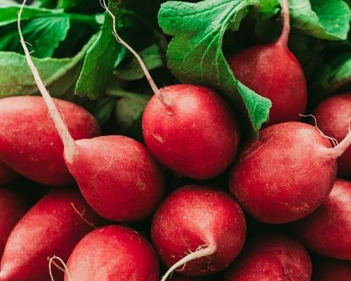Dlaczego warto jeść rzodkiewkę? Naturalny sposób na detoks, lepszy metabolizm i zdrową wątrobę