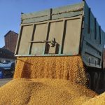 Ostra krytyka umowy handlowej z Ukrainą. Lider Konfederacji wylicza