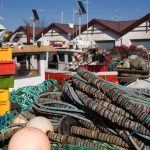 Dorsz nadal pod ochroną, szprot i śledź wracają do łask. Co to oznacza dla Polski?