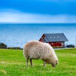 Rosja ostrzegła Wyspy Owcze: „Wysłaliśmy list”. Morskie szpiegostwo w tle