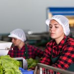 ​Stopa bezrobocia w Polsce ani drgnie