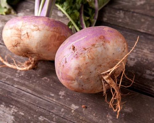 Zapomniane warzywo na nadciśnienie i zaparcia. Zrób z niego syrop na kaszel, ale nie podawaj dzieciom!