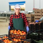 Ilu cudzoziemców pracuje w Polsce? Nowe dane GUS