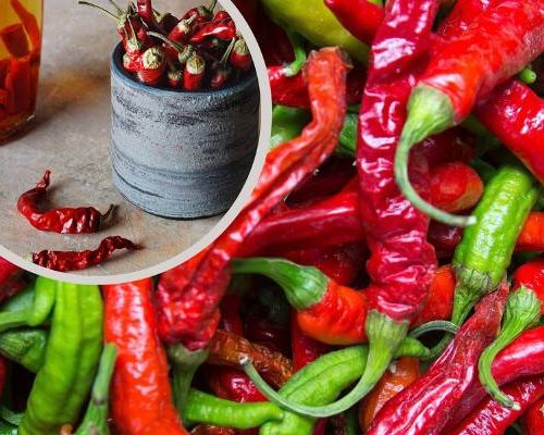 Nalewka z chili na stawy i przeziębienie. Poznaj przepis na leczniczą paprykówkę i jej właściwości przeciwbólowe, a także środki ostrożności