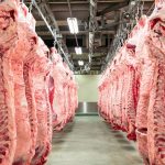 Australijska wołowina popłynie do Europy. Polski resort rolnictwa alarmuje