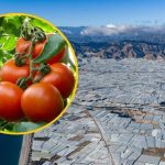 Największa szklarnia świata wykarmi pół miliarda ludzi. Widać ją z Kosmosu