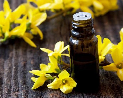 Idealna na wiosenny detoks. Wzmacnia organizm i serce. Nalewka z forsycji wzmacnia organizm