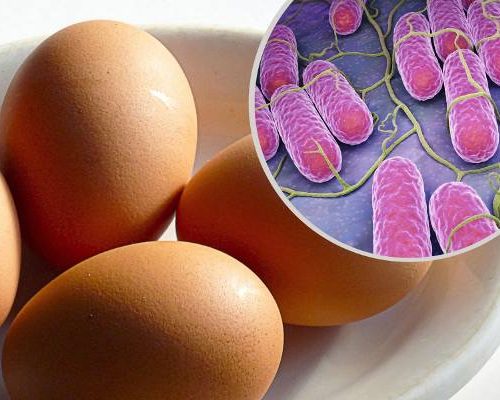Salmonella to groźna bakteria nie tylko z żywności. Takie są objawy zatrucia Salmonellą