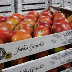 Jabłka grójeckie mają szansę podbić Brazylię. Ustalenia RMF FM