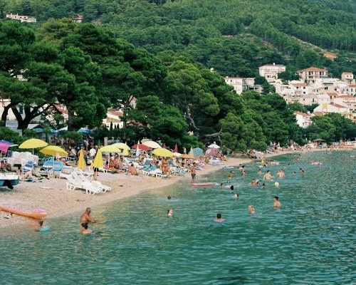 Nie tylko słońce parzy. Co cię może ukłuć, ugryźć albo poparzyć podczas urlopu? Sprawdź, jak unikać zagrożenia i co zrobić, gdy ucierpisz