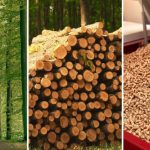 „Ceny z kosmosu i pustki w składach”. Dlaczego pellet nagle drożeje w środku lata?