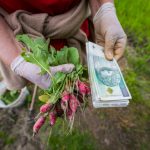 Ostatni dzwonek dla rolników. 31 lipca mija termin płatności