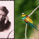 Skłodowska-Curie czy ptaki żołny? Ważą się losy nowych banknotów euro