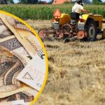Wypłata dopłat bezpośrednich 2026 już ruszyła! Kiedy rolnicy dostaną pieniądze i ile wynoszą dopłaty do hektara?